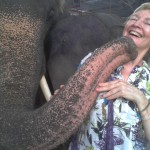 Narelle caught - gets kissed by an elephant