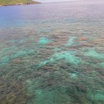 Ethel Beach Reef on Christmas Island
